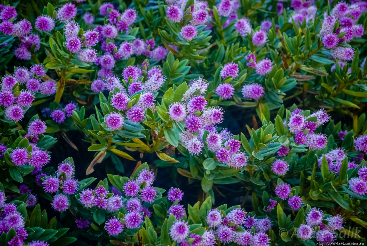 Цветущий утренний Лондон Лондон, Великобритания