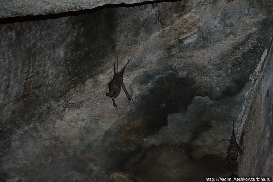 В храмах обитают летучие мыши. Женщины боятся в них входить. Штат Карнатака, Индия