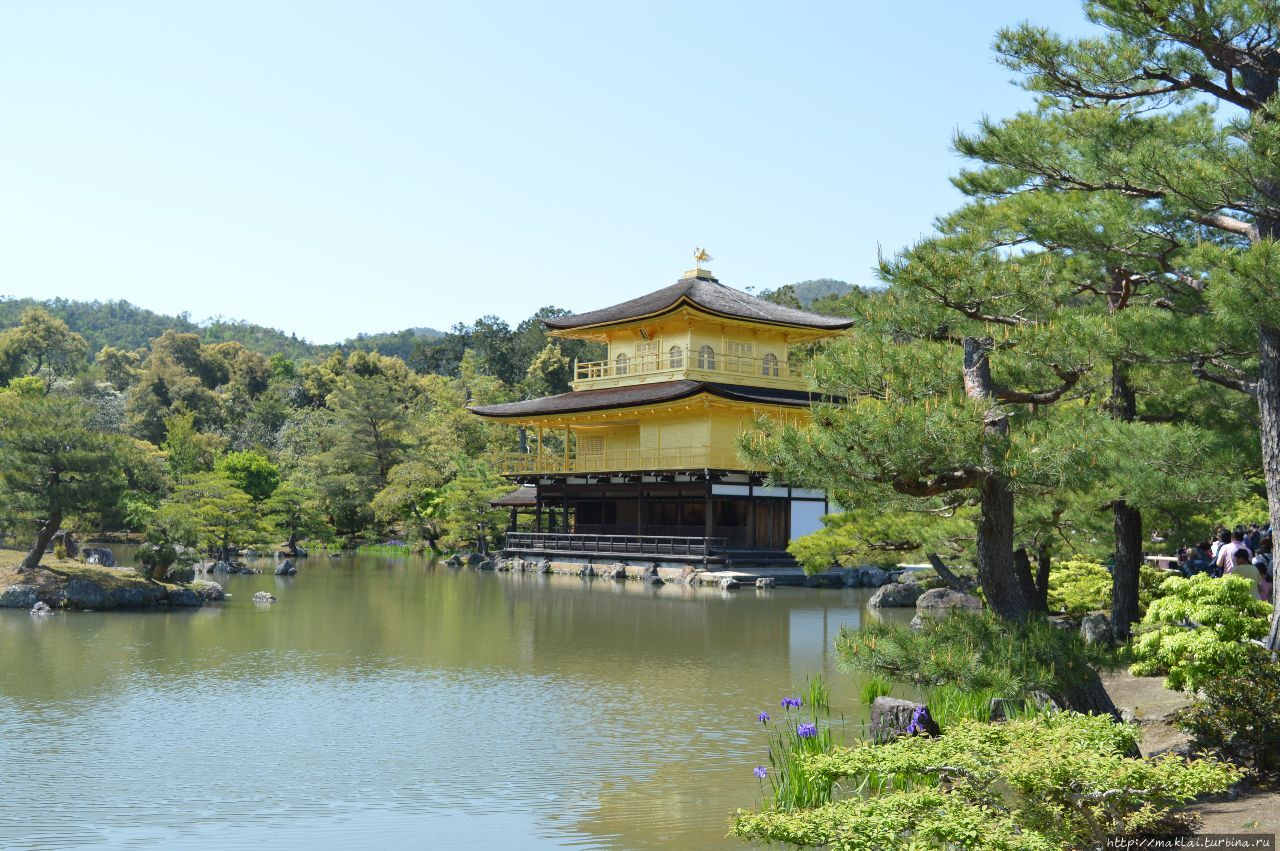 Кинкаку-дзи (Рокуон-дзи, Золотой павильон) Киото, Япония
