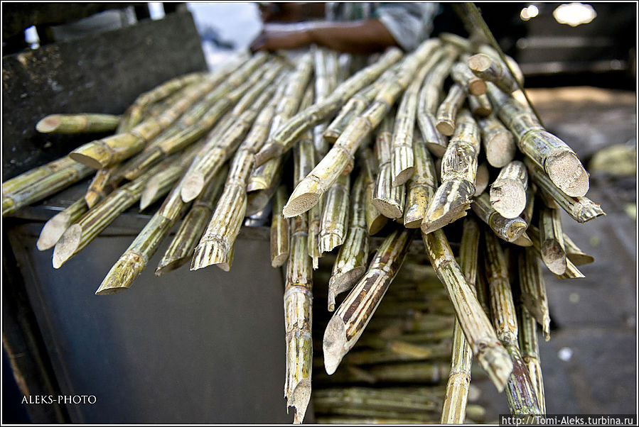 Свиду тростник — как вязанка хвороста...
* Мумбаи, Индия