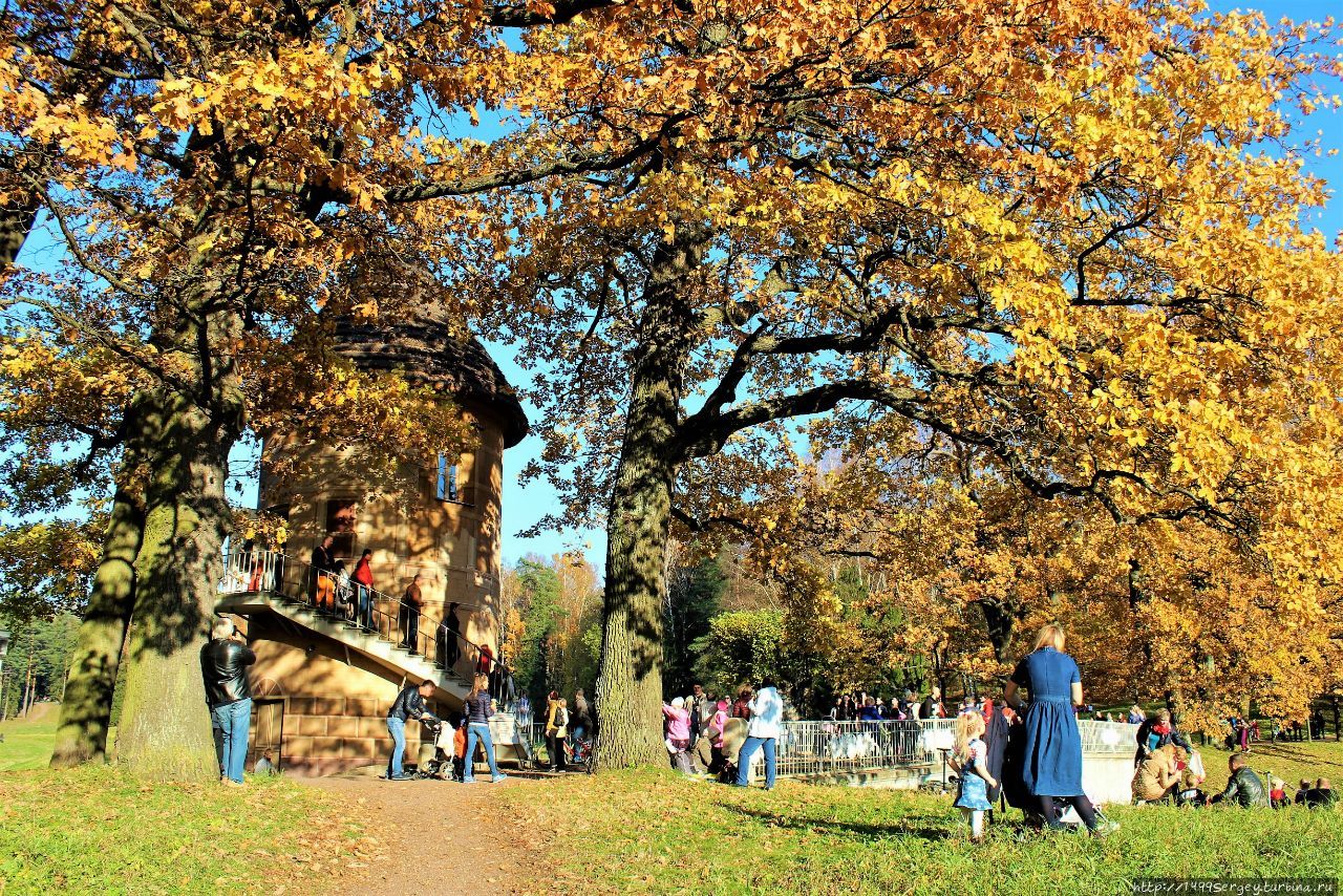 Золотая Осень в Павловском парке #4 Всё самое, самое яркое