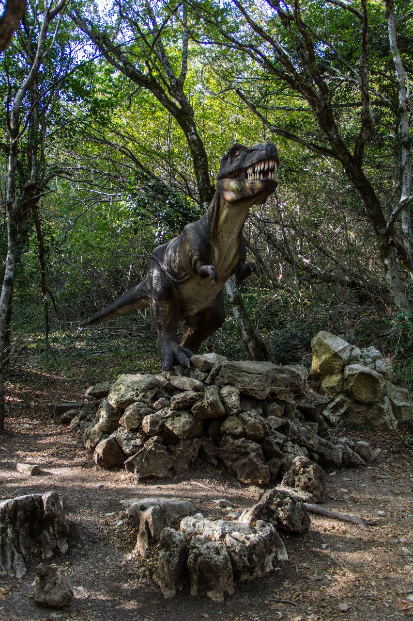 Сатаплия. Динозавры и пещера Сатаплия Природный Парк, Грузия