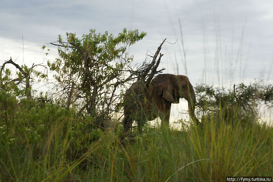От Кампалы на север Уганда