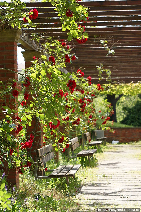 Терассный розарий Штутгарт, Германия