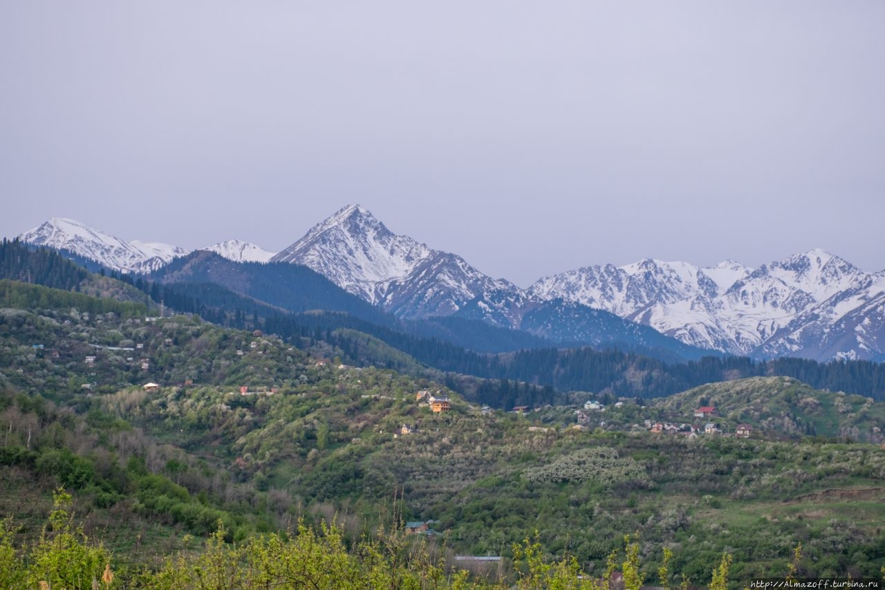 Злостное нарушение алматинского карантина или бегство в горы
