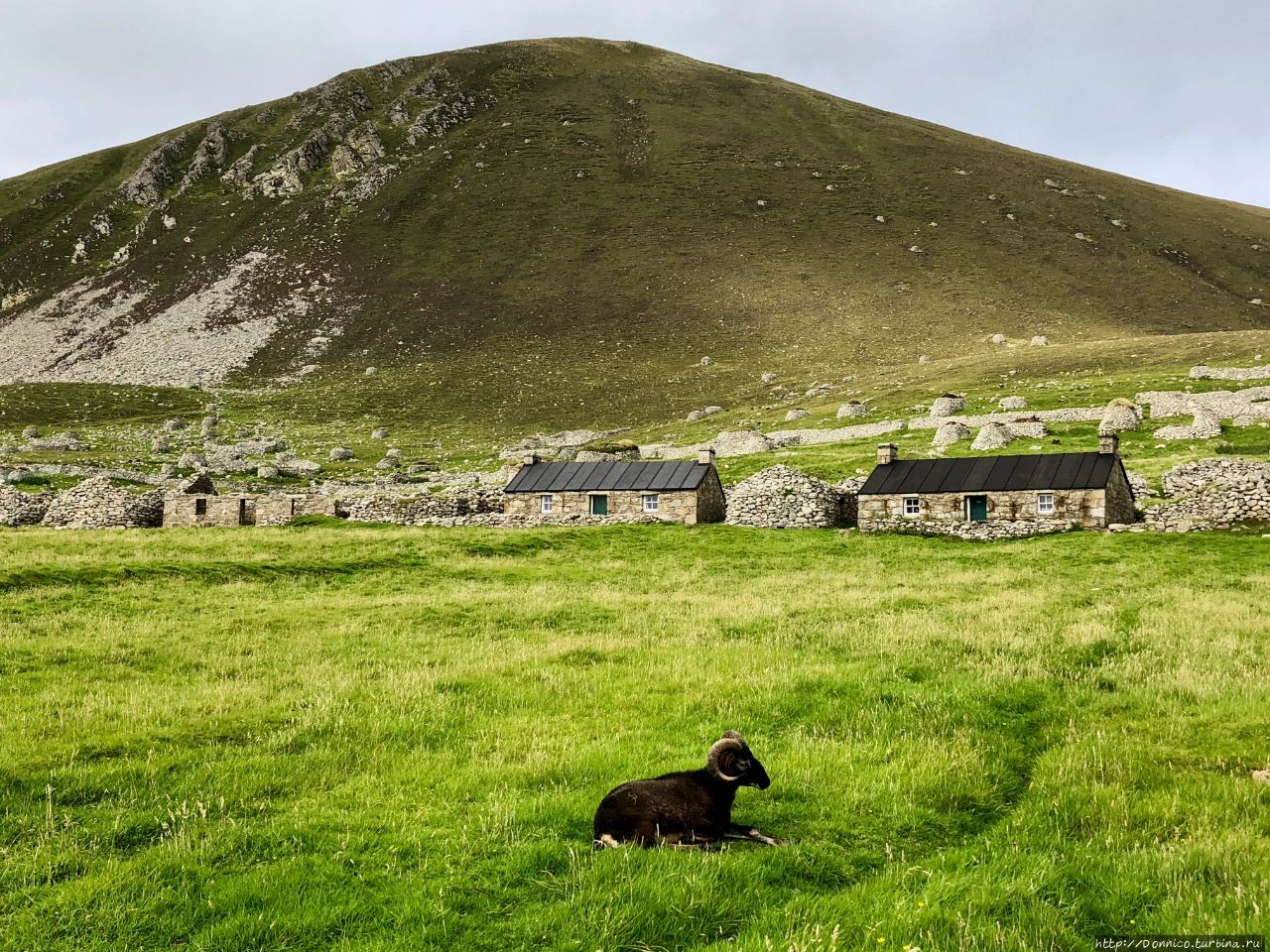 Последняя тайна Европы: Сент-Килда под тенью Пингвинуса Остров Хирта, архипелаг Сент-Килда, Великобритания Последняя тайна Европы: Сент-Килда под тенью Пингвинуса Остров Хирта, архипелаг Сент-Килда, Великобритания