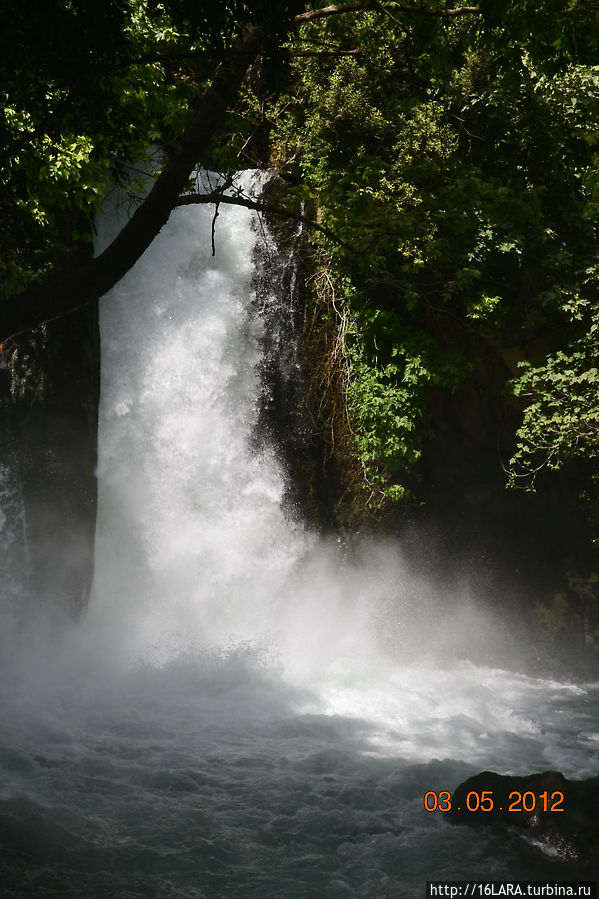 И наконец, водопад Баниас, который довольно трудно снять целиком из-за окружающей растительности. Баниас, Израиль