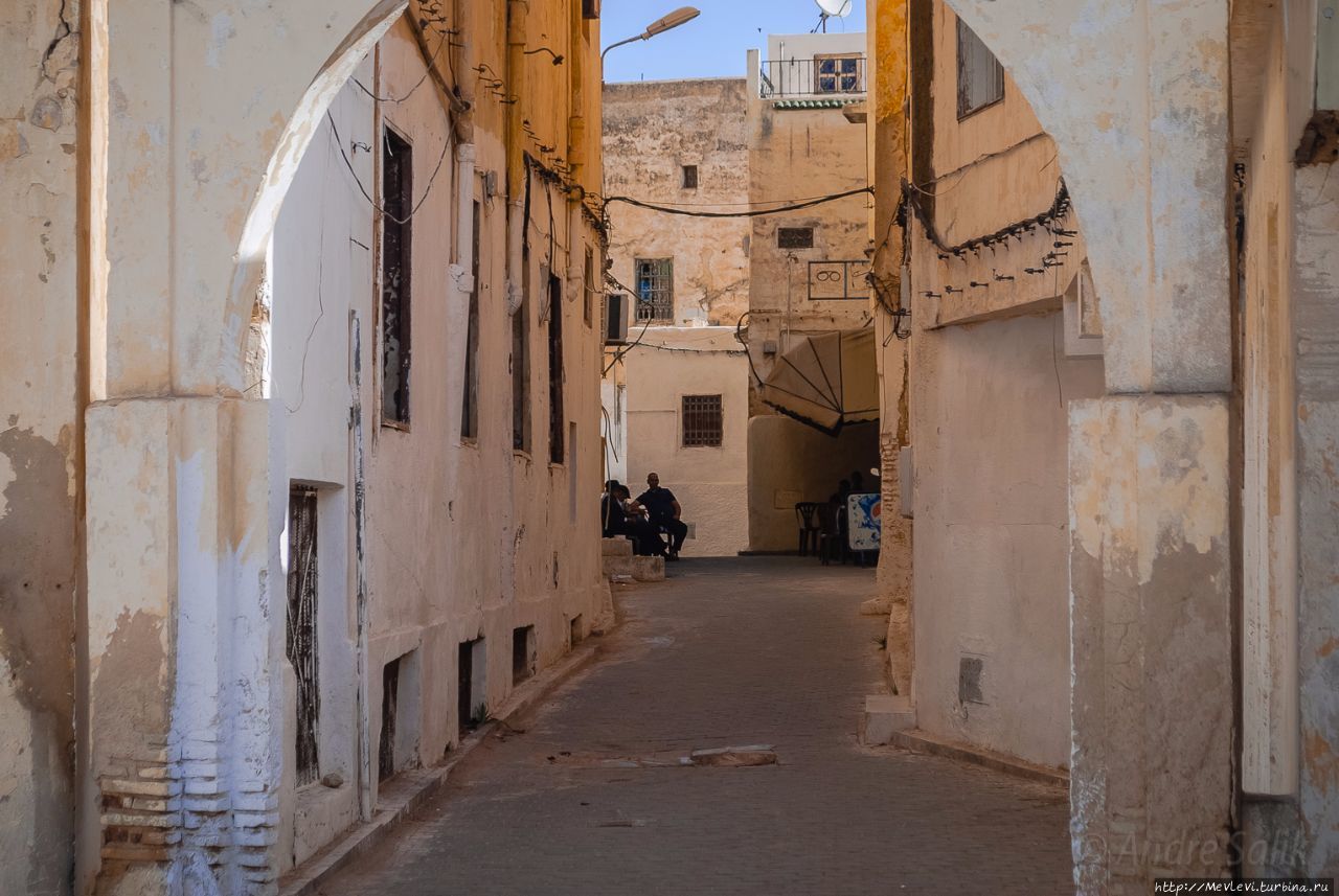 Фес - жемчужина арабской культуры Марокко