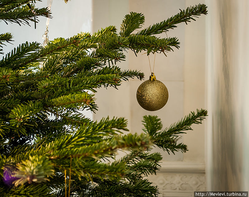 С Новым Годом, друзья