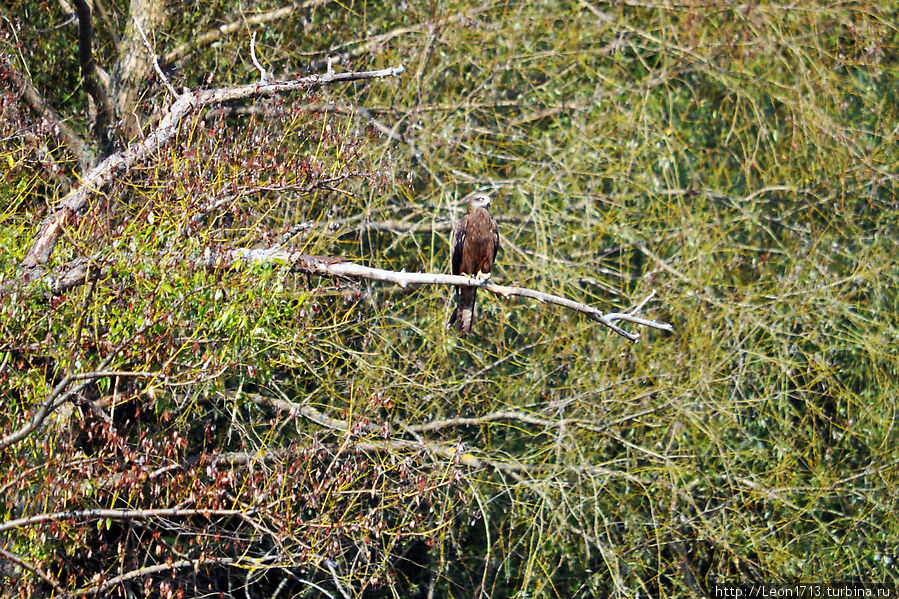 Просто природный выходной Тульская область, Россия