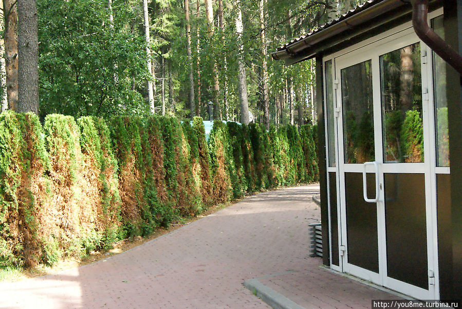 Поймайте мне кролика Нижегородская область, Россия