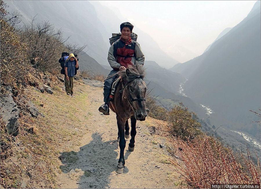 Хорошо тому, у кого конь есть Лангтанг, Непал