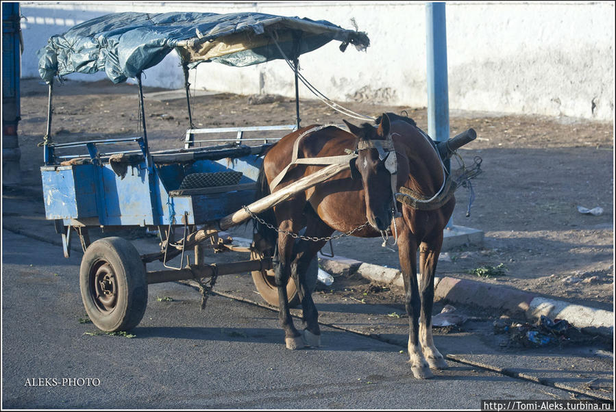 И еще одна вариация транспортного средства...
* Эль-Джадида, Марокко