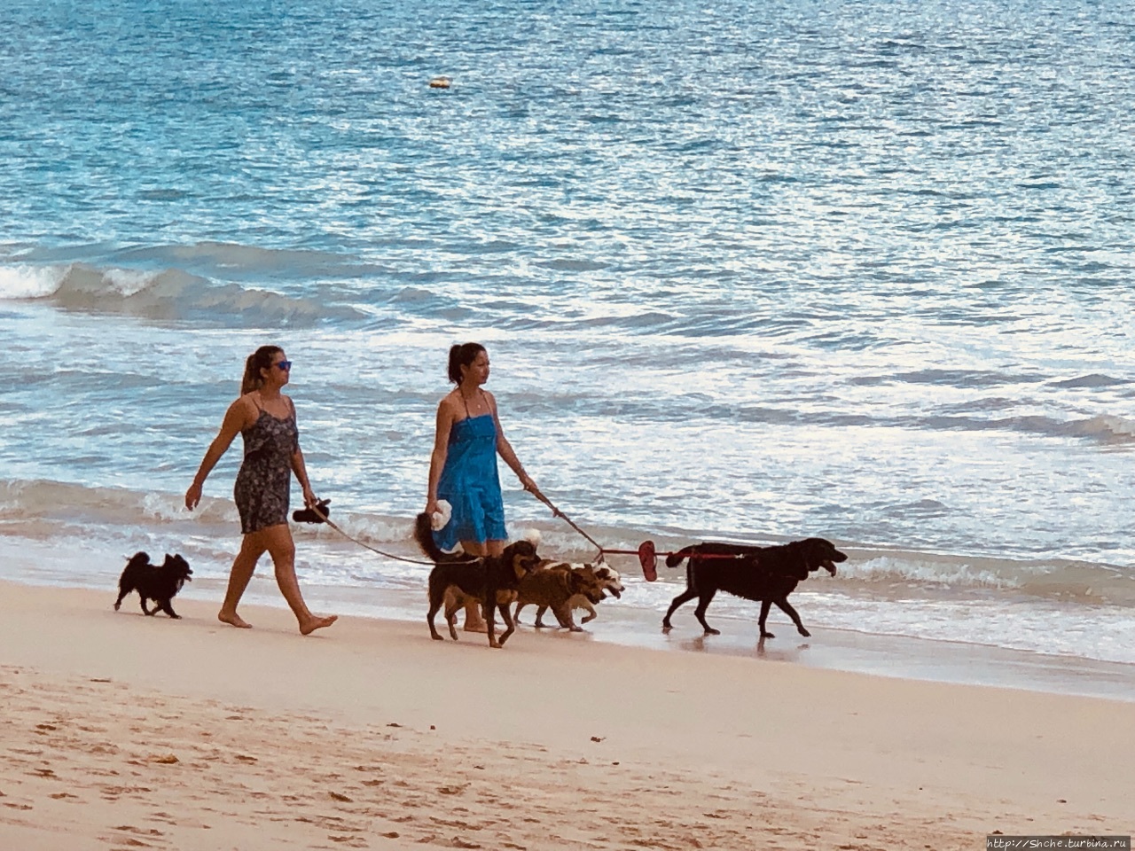 Пляж Бо-Валлон / Beau Vallon Beach