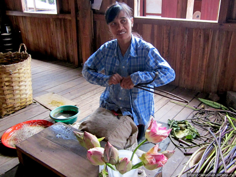 Здесь из лотоса получают волокна и прядут ткани (озеро Инле) Мьянма