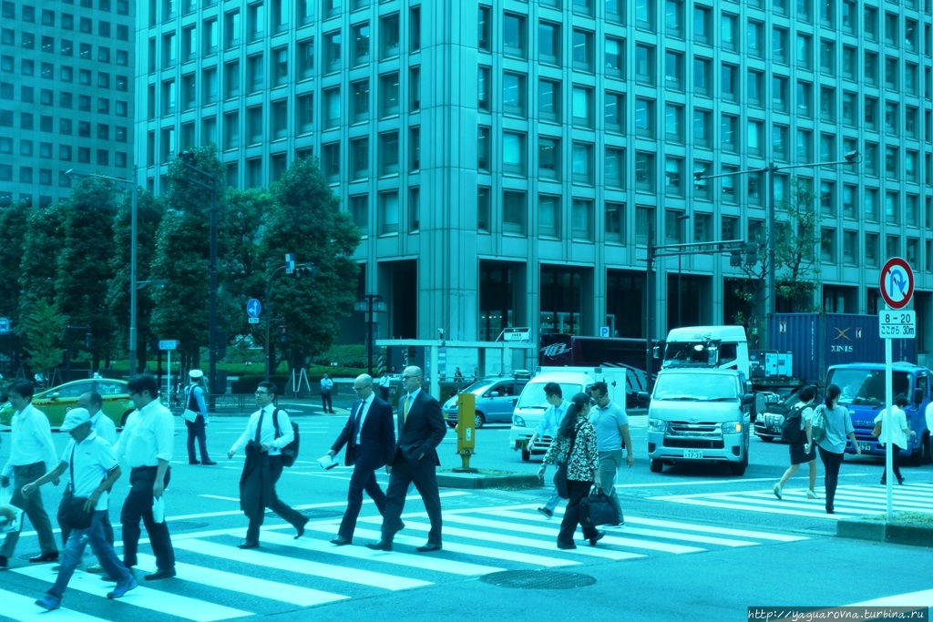 Ночной токио с высоты птичьего полета. Япония синдзюку. Хайвей япония. Япония город токио. Япония токио.