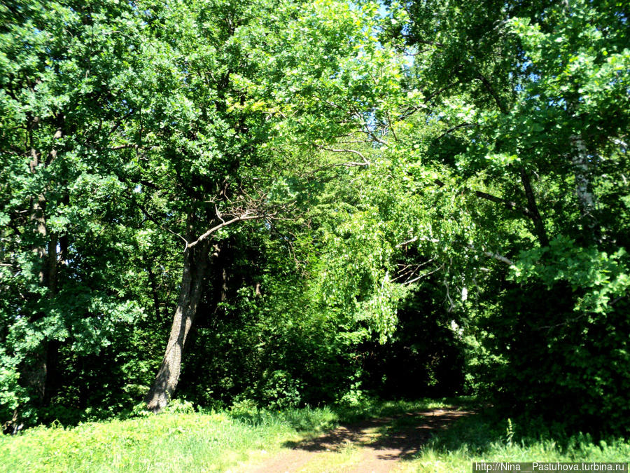 Последний день весны Оренбургская область, Россия