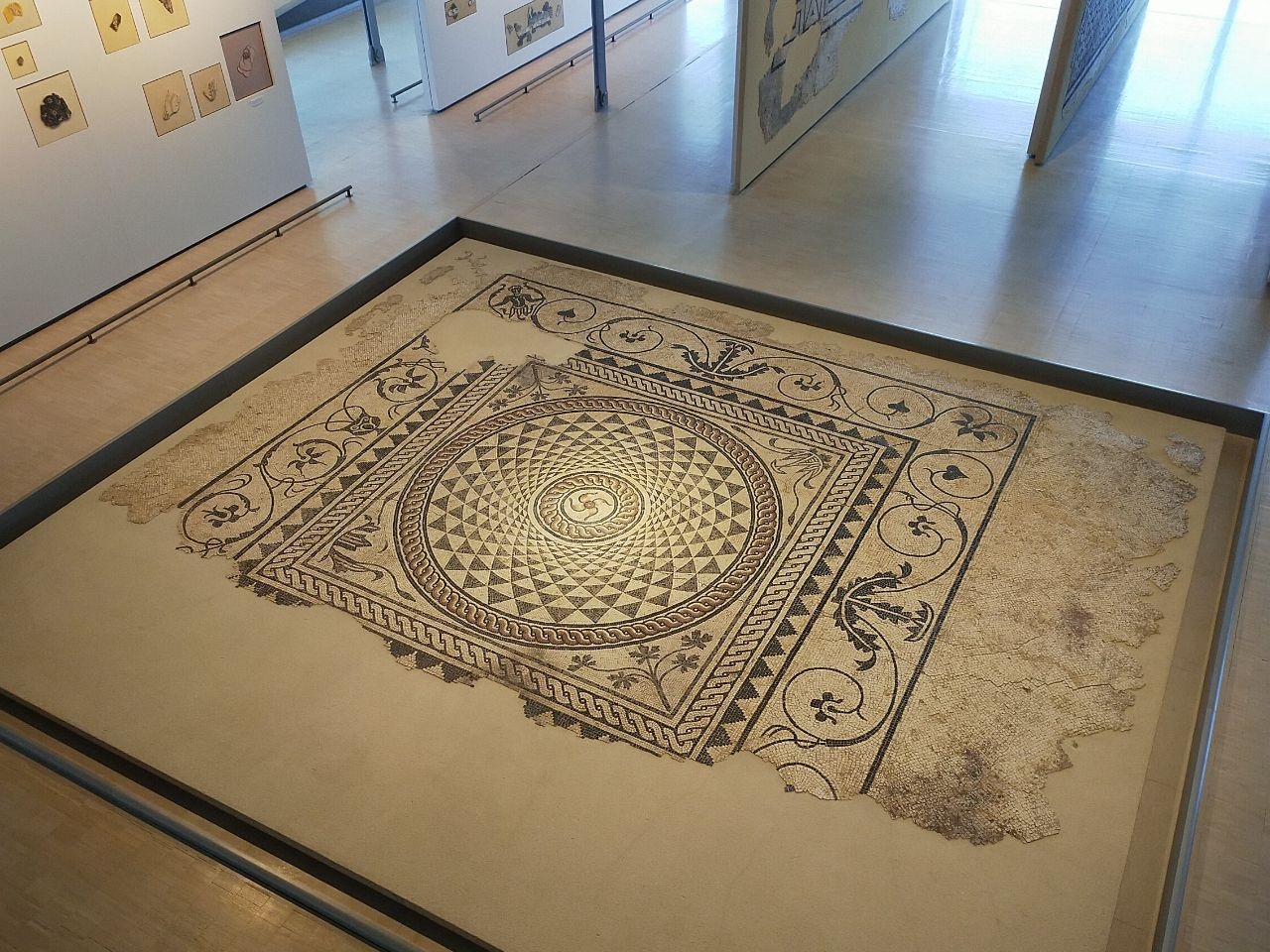 Галло-римский музей и археологические раскопки Вьенн, Франция