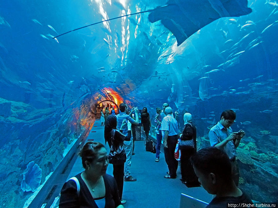 подводный туннель Дубай, ОАЭ
