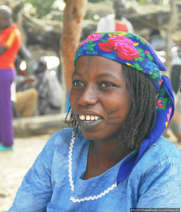 Первое знакомство с камерунскими фульбе Гоп, Камерун