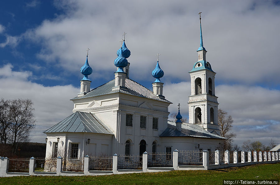 Грачи прилетели Костромская область, Россия