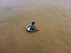 Девочка на тазе переплывает озеро Тонлесап — самое глубоководное озеро Юго-Восточной Азии