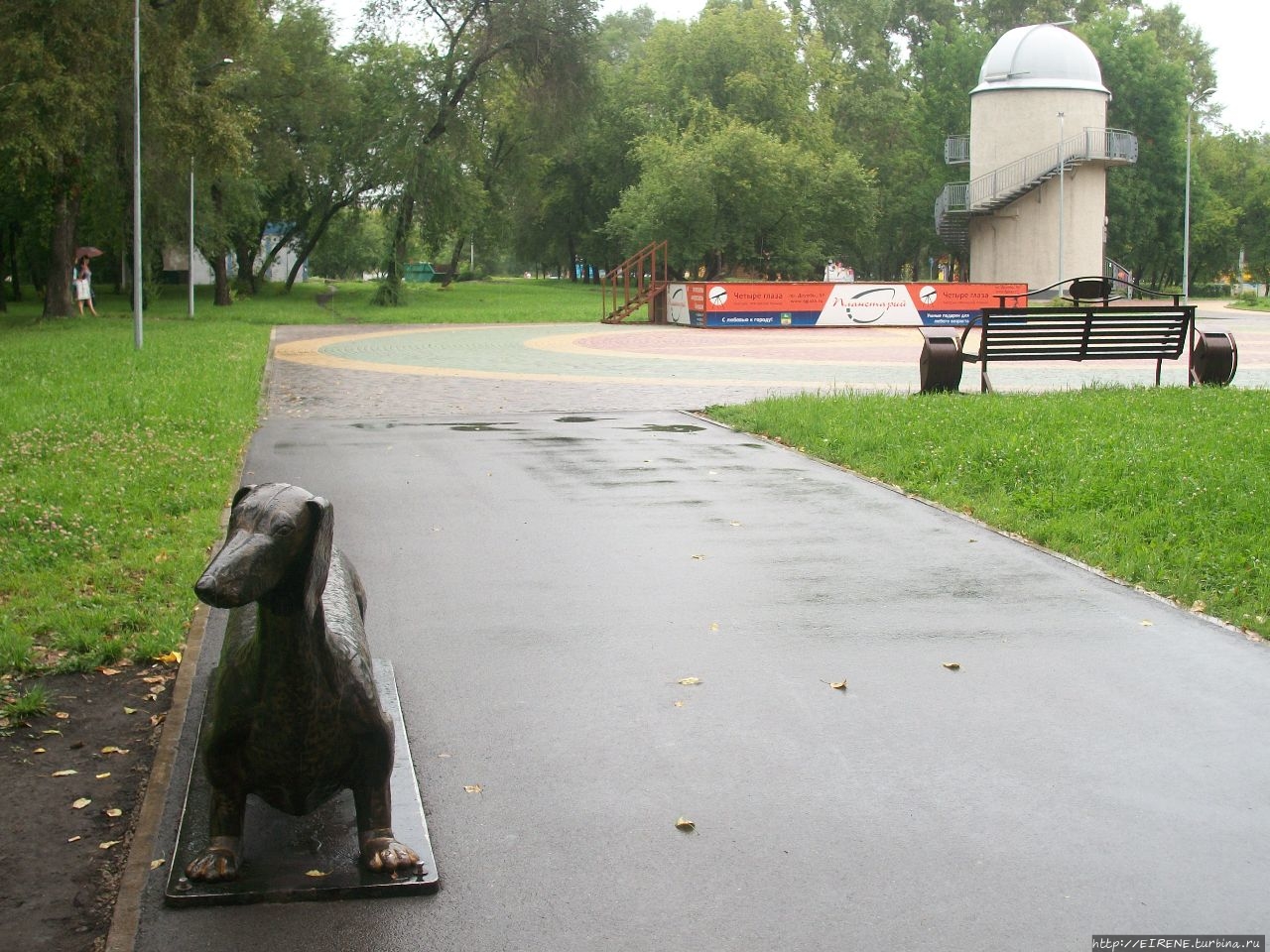 Прошлым летом, в цветочном городе. Новокузнецк, Россия