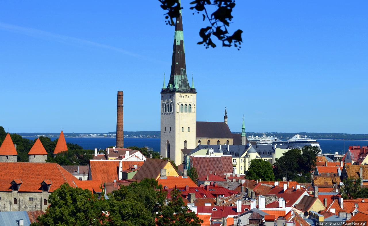 Церковь Олевисте Таллин, Эстония