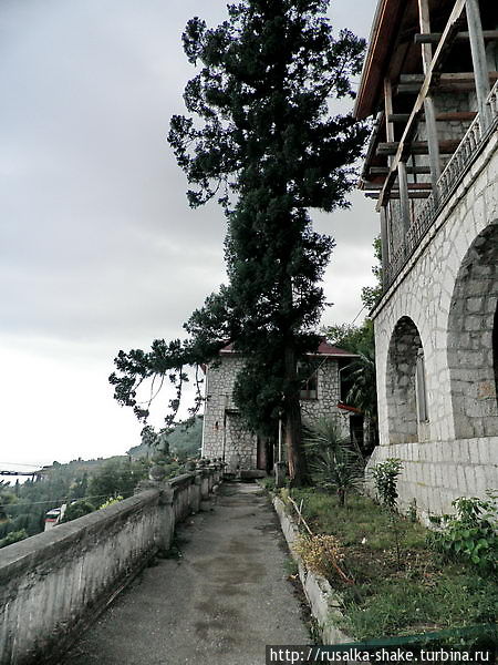 Этюд в серо-зеленых тонах Гагра, Абхазия