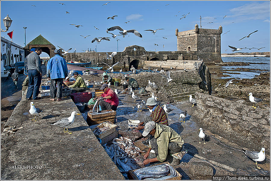В этом месте как будто маленький заводик на открытом воздухе, где всегда обрабатывают рыбу...
* Эссуэйра, Марокко