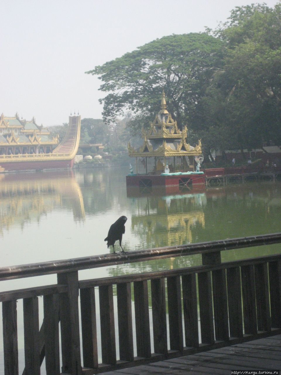 Озеро Kandawgyi Lake в Янгуне Янгон, Мьянма