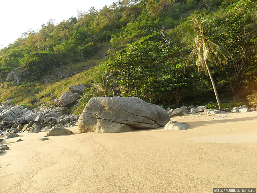 Нуй бич, на камне стоит толи козел толи баран, из чего сделан — не знаю