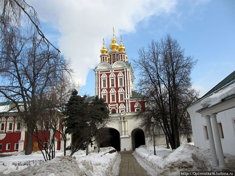 Случайная прогулка по Новодевичьему монастырю Москва, Россия