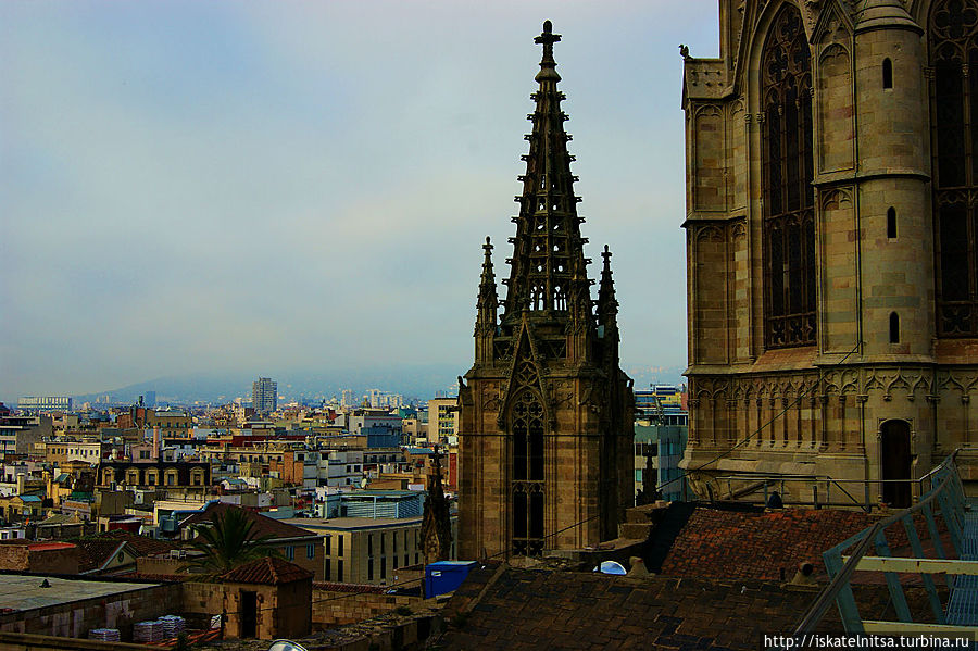Вид с Catedral de Barcelona Барселона, Испания