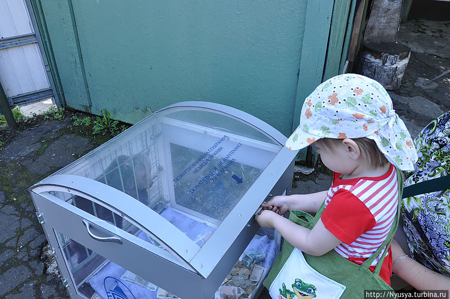 Маруська кладет для тезки денежку.