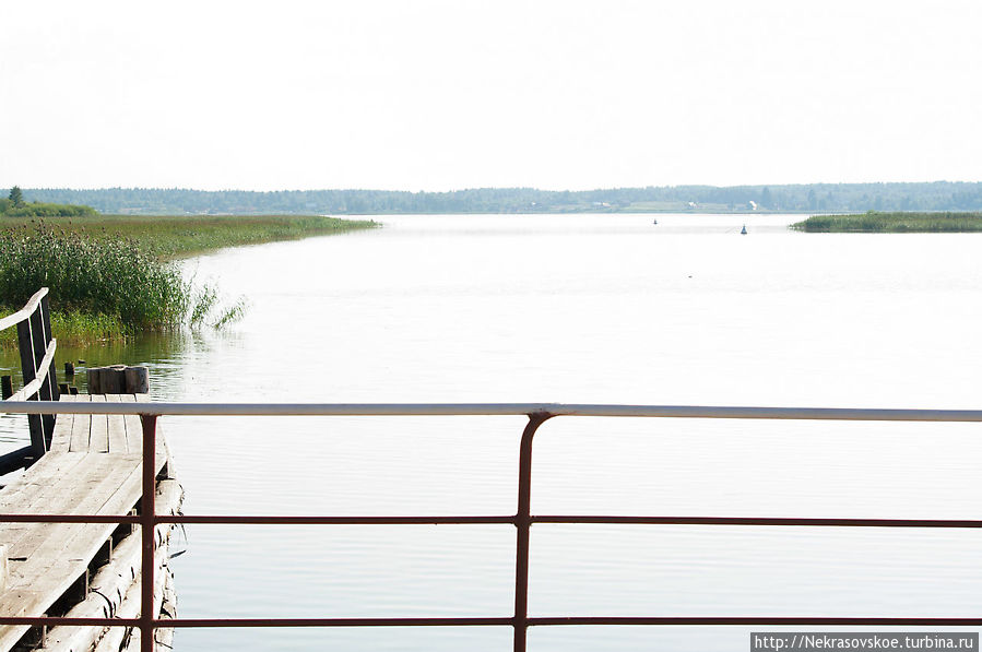 Вид с деревянного мостика на Сиверское озеро при его слиянии с каналом. Кириллов, Россия