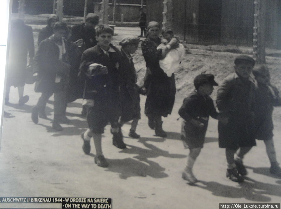 Для того, чтобы в лагерях не было паники, детей не сразу забирали у родителей. Немного позже, детей забирали и отправляли в Аушвиц-Биркенау для умерщвления. Освенцим, Польша