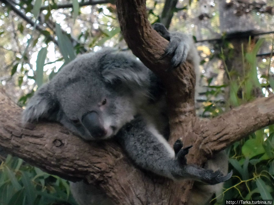 Чиангмай Чиангмай, Таиланд
