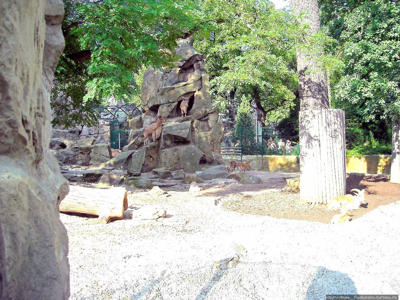 Берлинский зоопарк Берлин, Германия