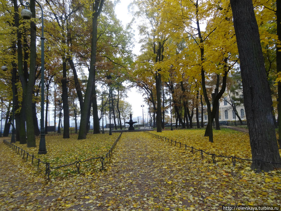 Осенью в Румянцевском саду Санкт-Петербург, Россия