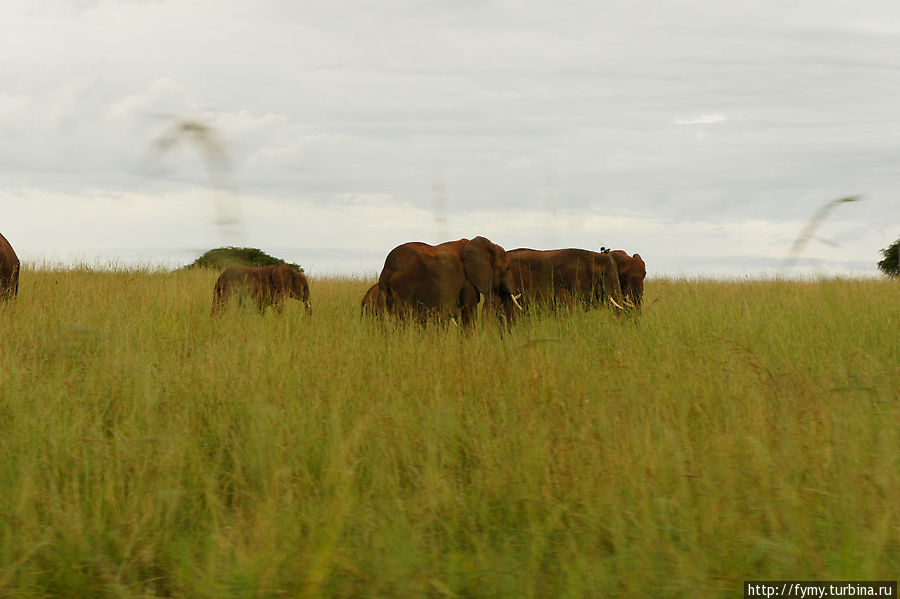 От Кампалы на север Уганда