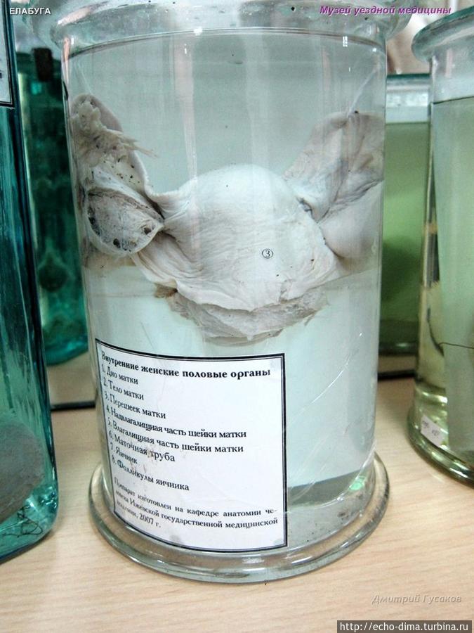 ЕЛАБУГА — ГОРОД МУЗЕЙ Елабуга, Россия