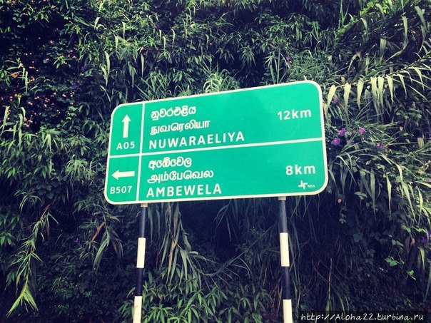 Ах как-же я люблю новые месту)) Шри-Ланка, остров мечтаний;) Шри-Ланка