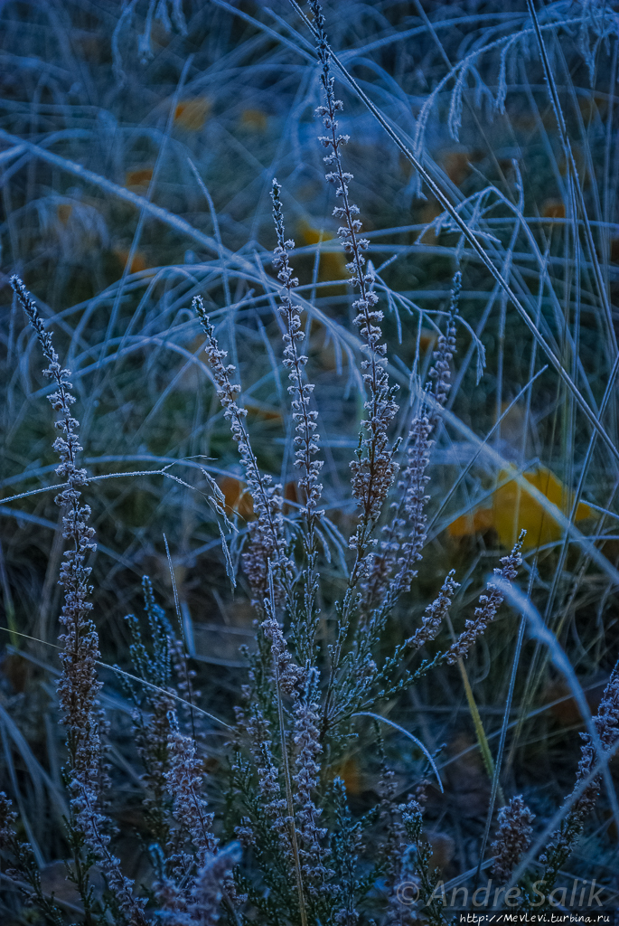 Изморозь Рига, Латвия