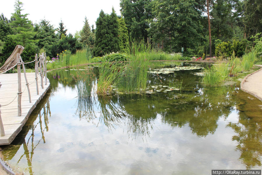 Пражский ботанический сад Прага, Чехия