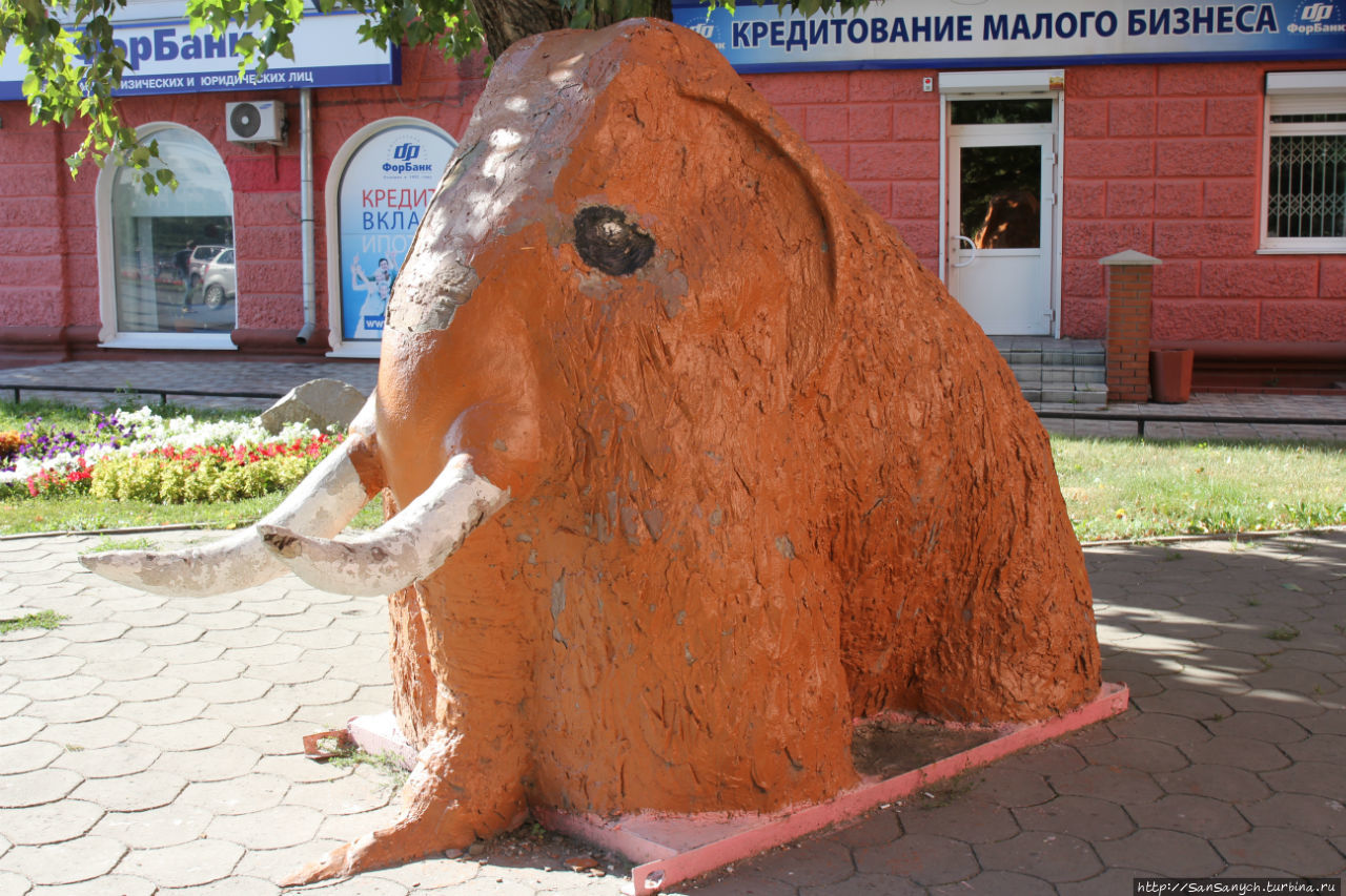 Барнаул Барнаул, Россия
