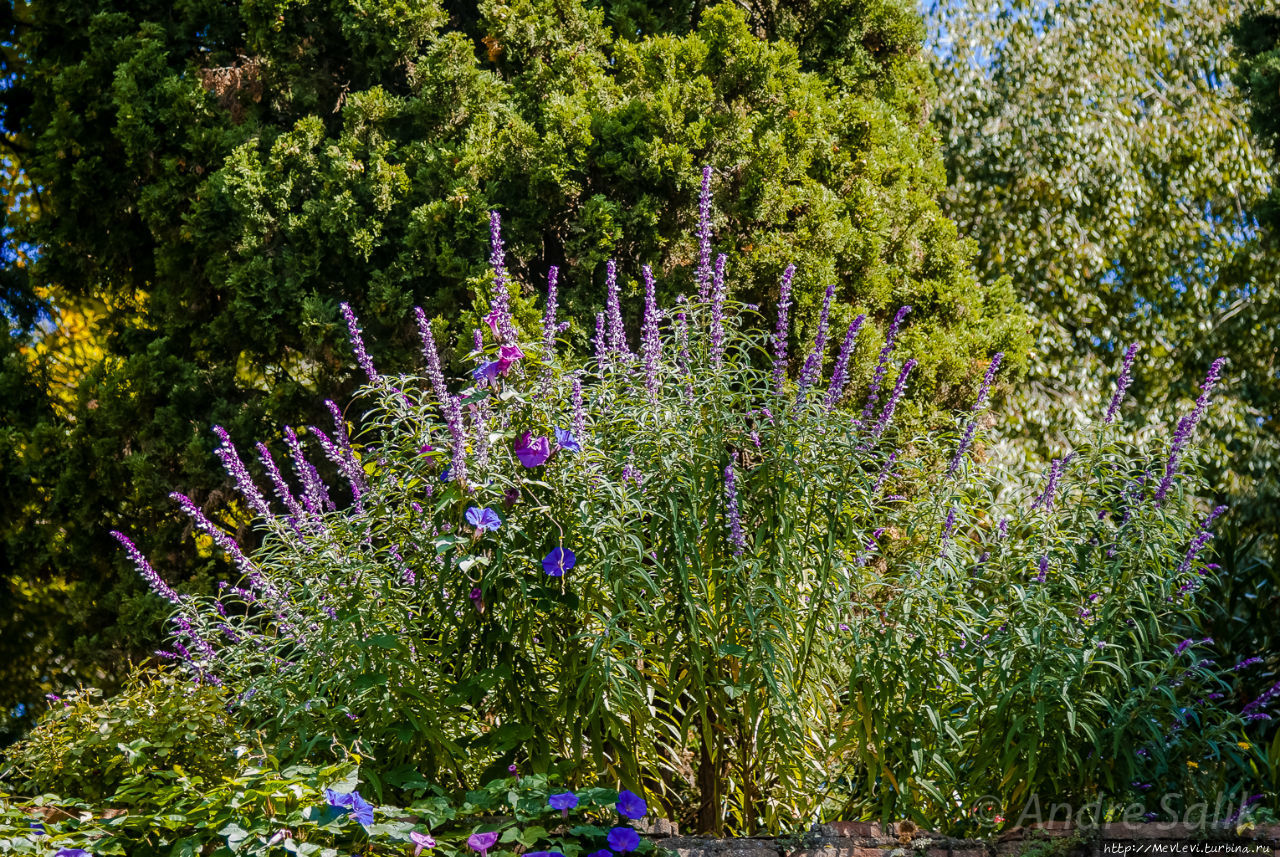 Прогулка в саду Хенералифе Альхамбра, Испания