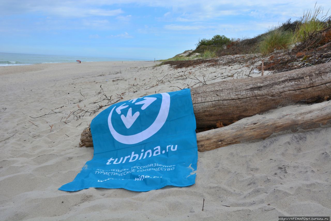 Национальный Парк Куршская Коса. Природное чудо Балтики Куршская Коса Национальный Парк, Россия