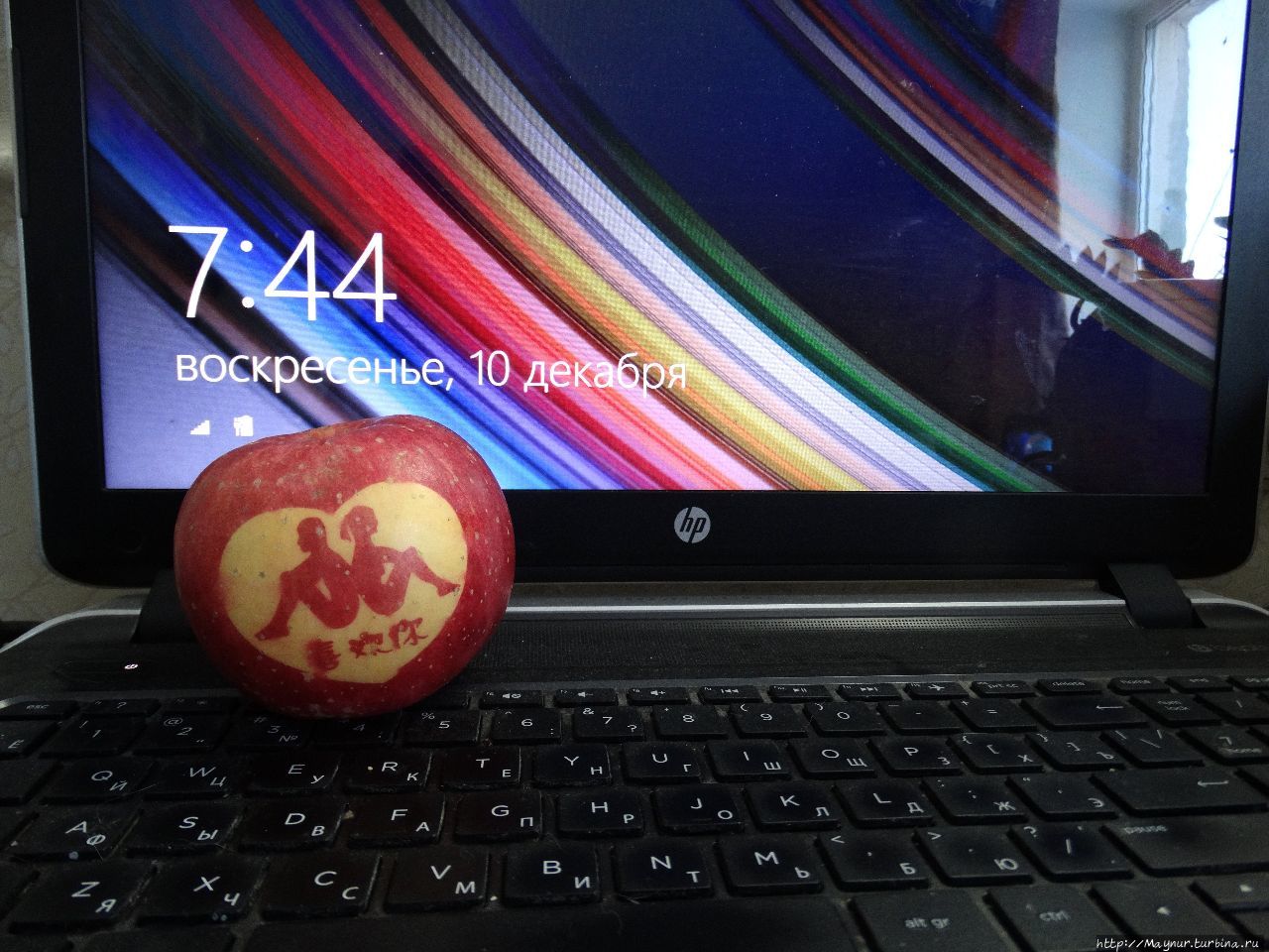 Адам и Ева Южно-Сахалинск, Россия