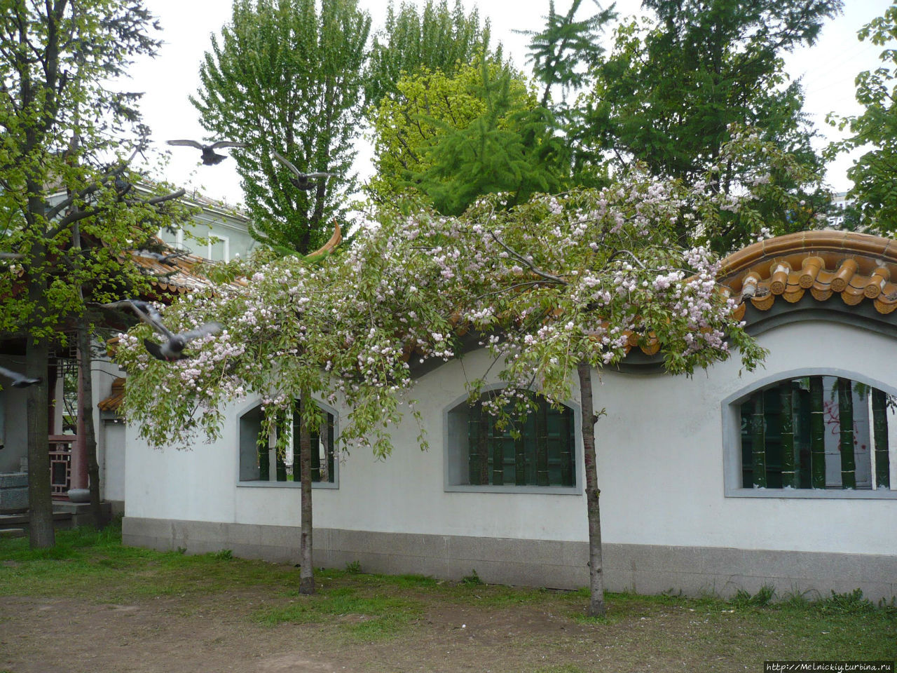 Аллея парящих зонтиков Санкт-Петербург, Россия